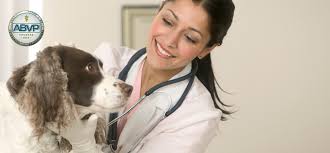 Vaterinery Doctors